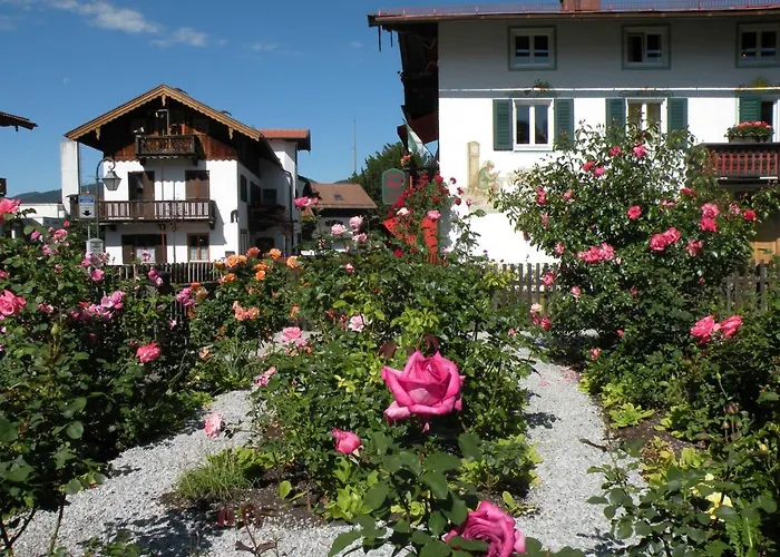 Rosenhof *